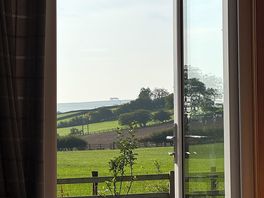 Perfect view