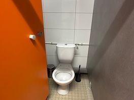 Female toilet block