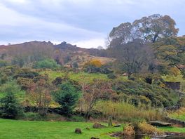 View from lavender