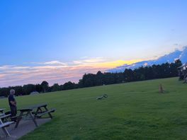 Playing field