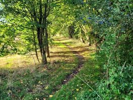 Lovely footpath on doorstep