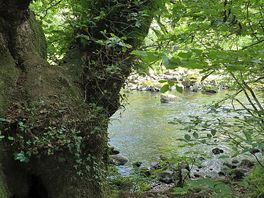 River walk