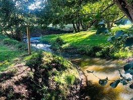 Pretty stream running through