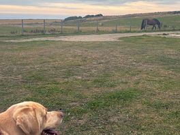 Lenny loved it too 😍