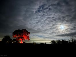 Such beautiful views at night