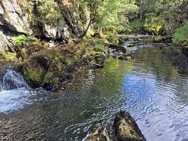 Waterfall trail