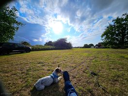 Sun coming over
