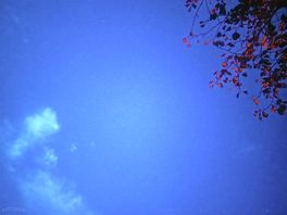 Star gazing