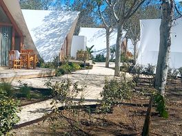 Glazing area