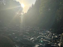 Camp