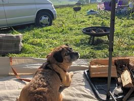 Camping field