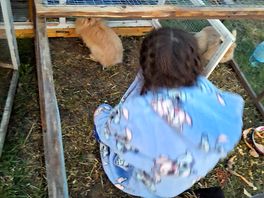 She loved the rabbits and sat here most days