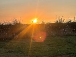Beautiful sunset