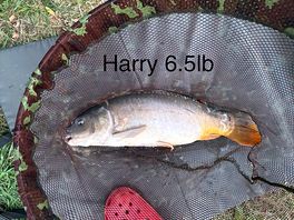 Great fishing
