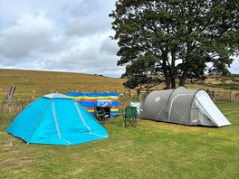 Our setup