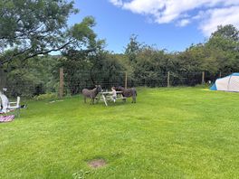 Nosy neighbours