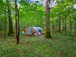 Our pitch in the foresy