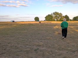 The field