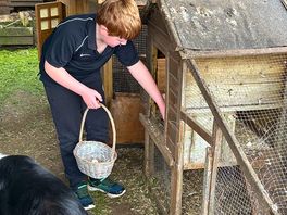 Never seen our son be so careful in collecting the eggs!