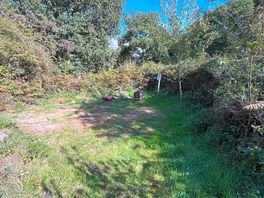 My area before i pitched my tent .