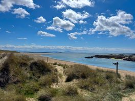 Beautiful anglesey