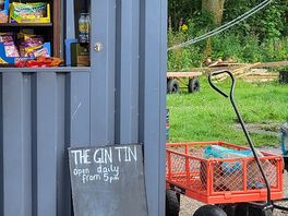 Gin tin