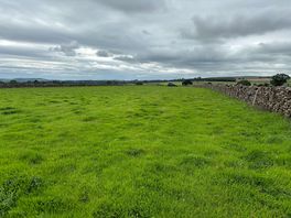 View of camping field from entrance.