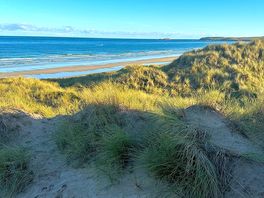 View from sand dunes