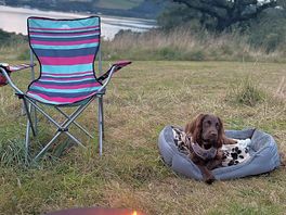 Fire and view