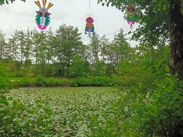 The art trail is lovely