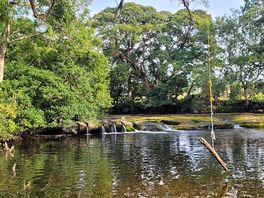 Lovely stream to walk to at the edge of site.