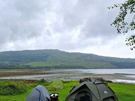 A campsite with a stjnn