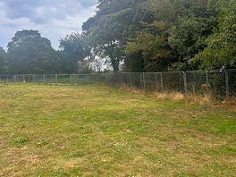 Campsite