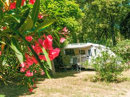 Pitches © Léa Tavolaro