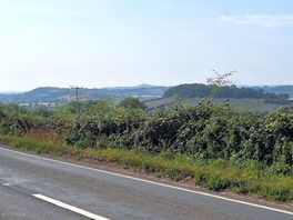 View from the bus stop outside