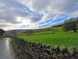 Nearby walk