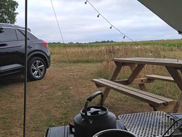 Morning view