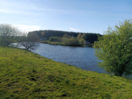 Pond