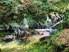 River
