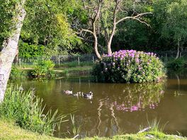 The fishing lakes with a picnic bench beside it.