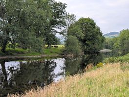 Lovely river and cows on the other side