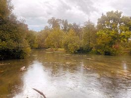 River next to site