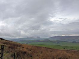 The view from the site