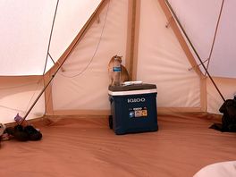 Olive looking forward to another day camping