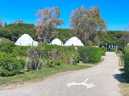 Many options to camp here