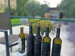 Degustazione vini della cantina