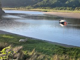 On the estuary