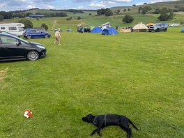 Busy saturday at the campsite