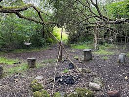 Woods