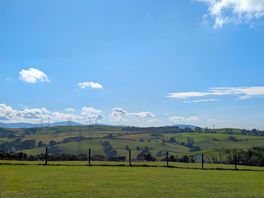 The lovely view.